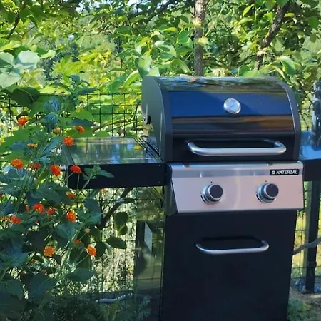 Casa Rosa Istria * Kucibreg